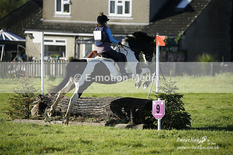  WWHT 031021 680 - WWEC Novice Restricted (0.80m) 18/10/20