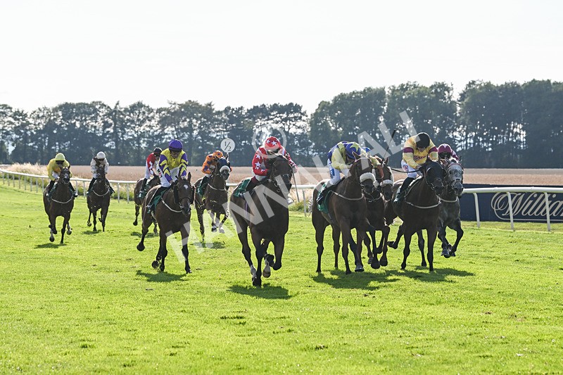 020825-Race 8-Dandy Dinmont-3884 - Race 8