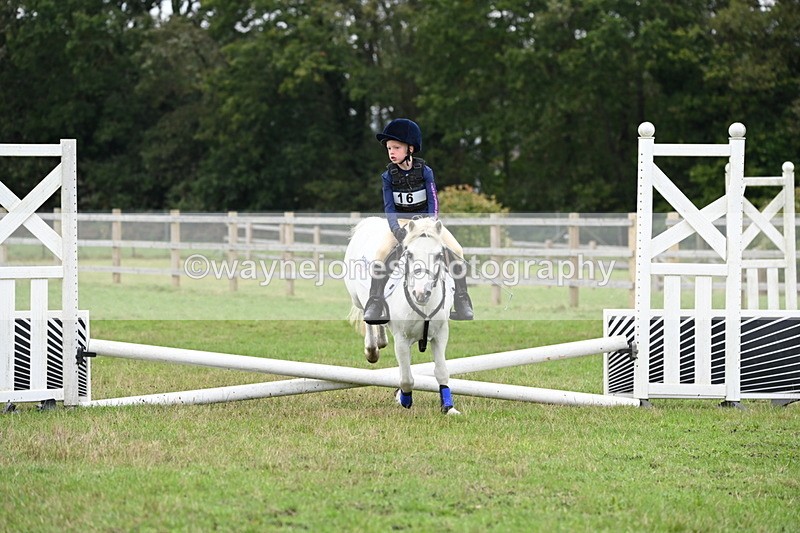 WJ6_0375 - 40cm Time 10:29 to 10:52