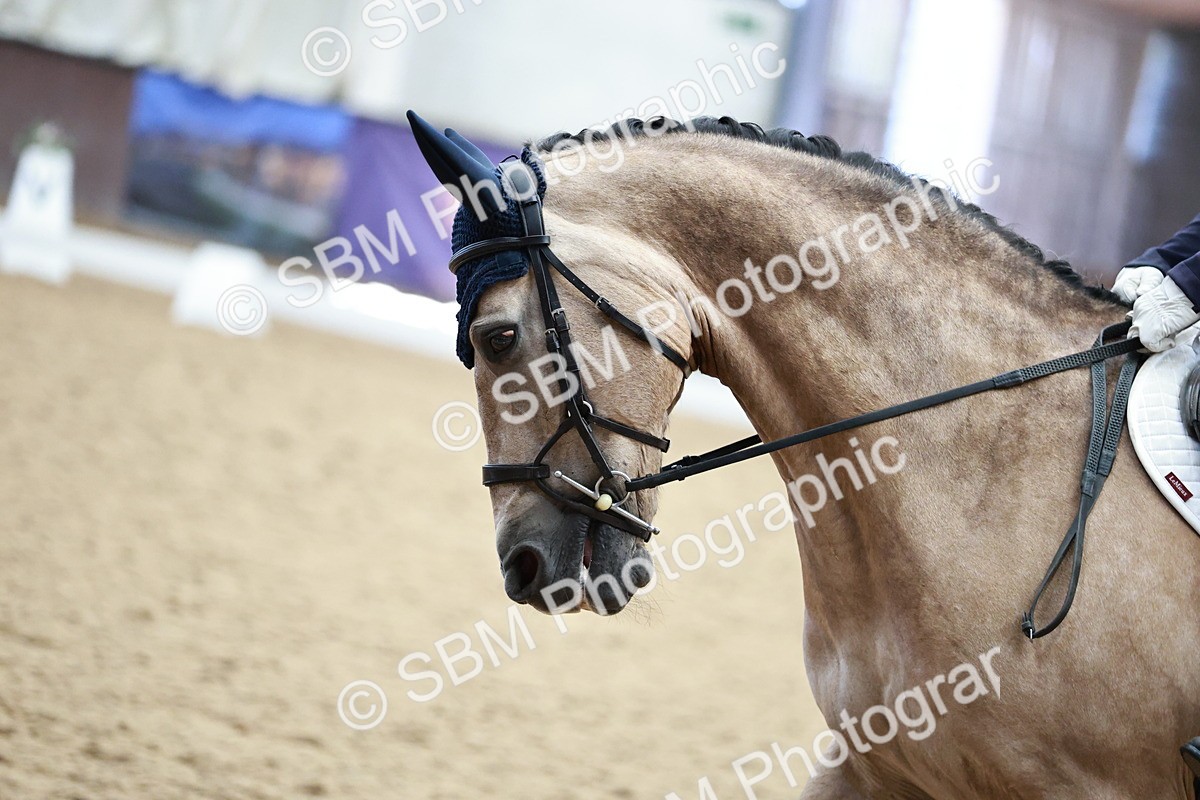 SBM_014161 - Class 7 - Ele FSM Bronze 12.12.13.08