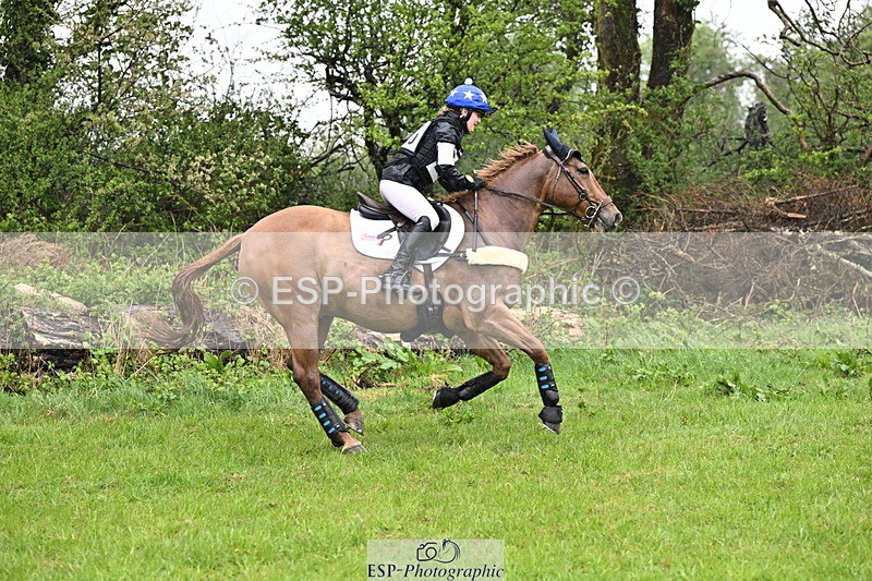 250418-131904-04125 - 205-Millie.Stoneman-V8.CHESTER