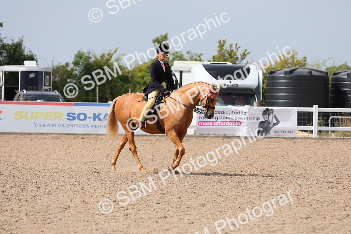 SBM_15558 - Class 311 Ridden Show Pony/ Show Hunter Pony