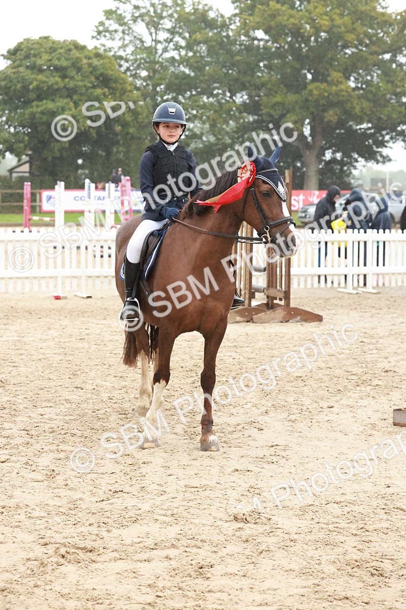 SBM_73572 - Supreme Championship Junior Pony 60cm & 65cm