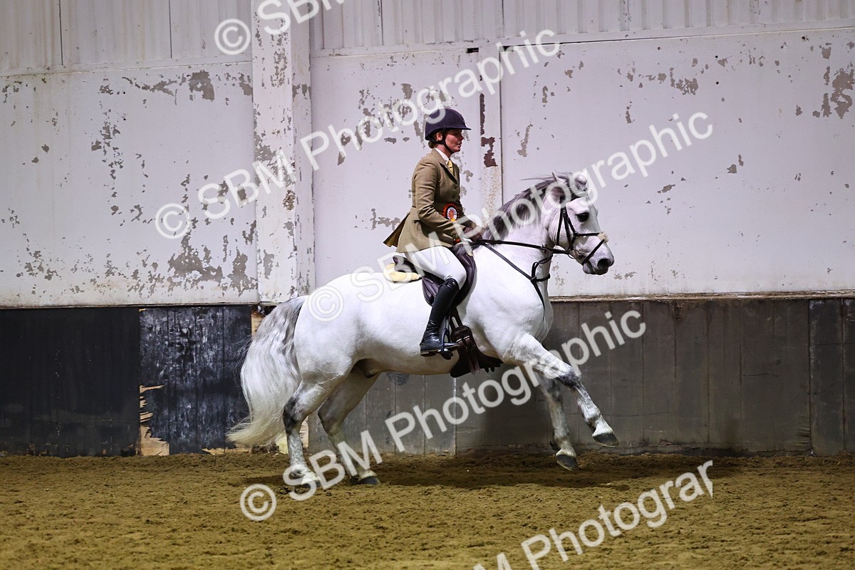 SBM_006727 - Class 43 - RIHS Qualifier Exceeding 43cms