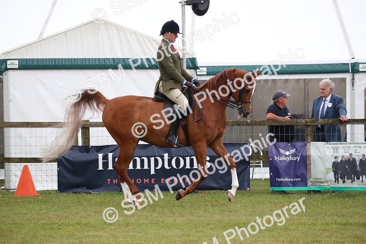 SBM_03622 - Class 21 - 22 - Ridden Arab and Part Bred/Anglo Arab