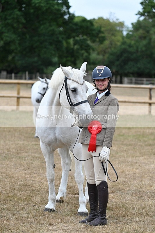 WJ7_9248 - Class 4a Prettiest Mare 14.2hh and over