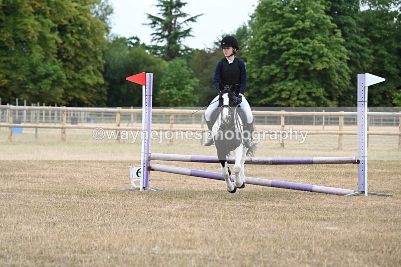 WJ6_0318 - Class 13 Novice Jumping 60cm