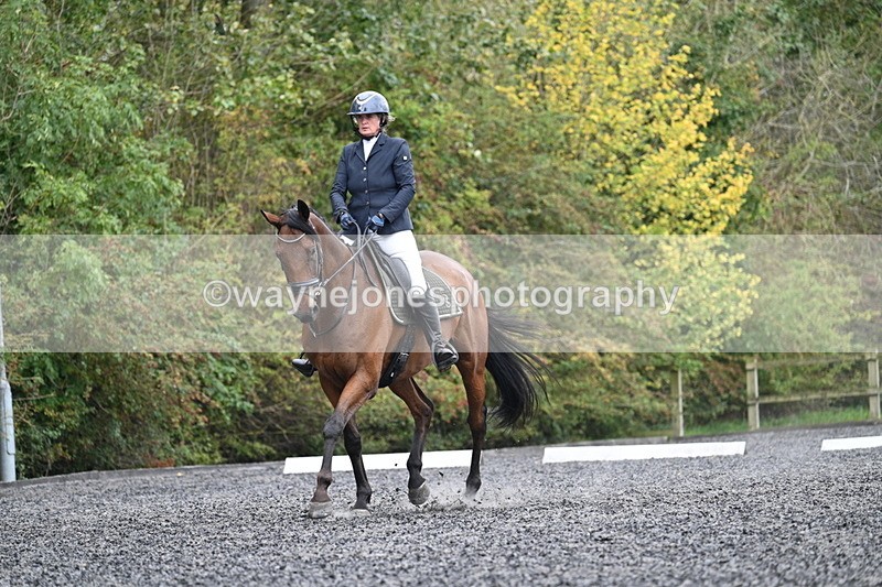 WJ7_6115 - Time 14:10 to 14:45