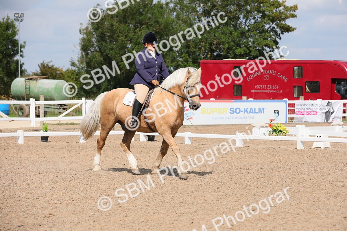 SBM_04013 - Class 31 Prelim 1