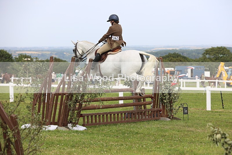 JPP_4172 - Class 25: Working Show Horse