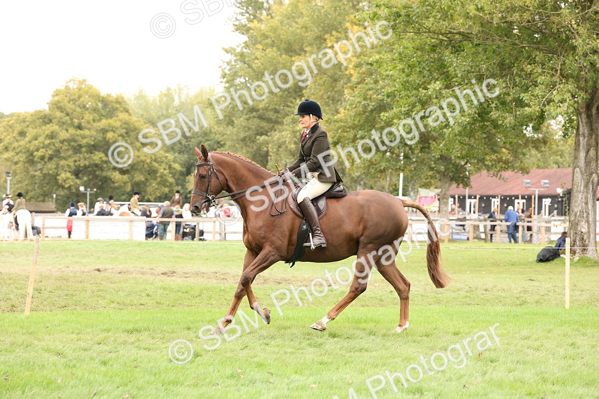 SBM_64255 - S65 - Riding Horse & Hack & Thoroughbred Ridden