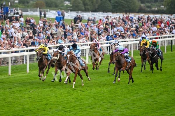 080925-Race 6-Rhapsody-7748 - Race 6 5.00pm Sky Bet Build A Bet Fillies' Handicap