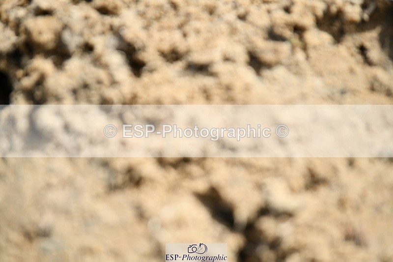 251004A-131125-01182 - Classes 6 & 7 60cm