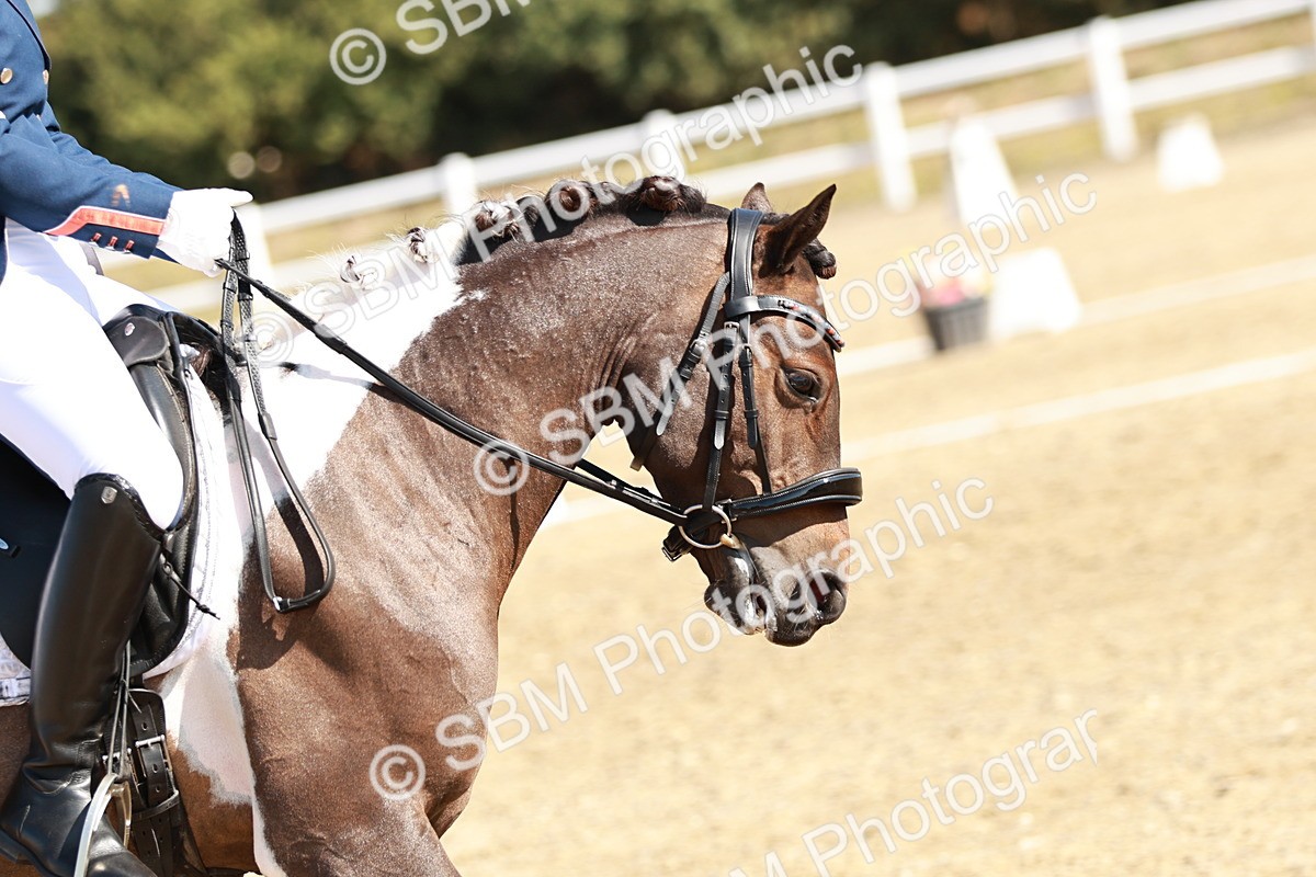 SBM_017056 - Class 10 - N5 Silver 9.33.10.29