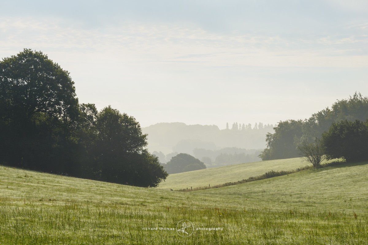 View across the South Downs national park on a misty morning