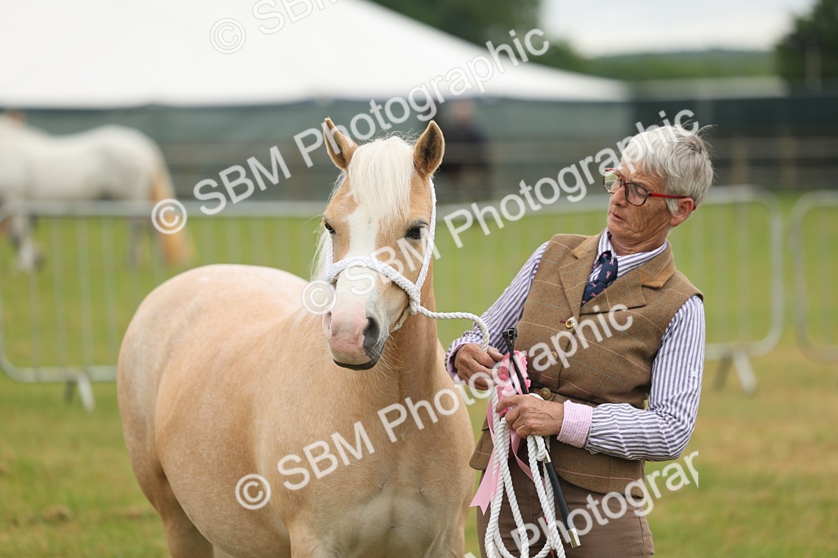 SBM_01647 - Class 50-57 - M&M Welsh Pony In Hand