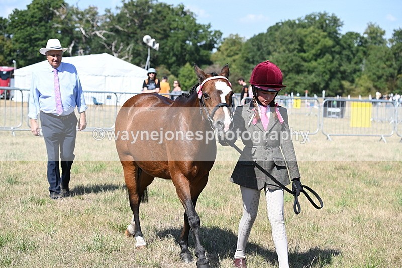 WJ6_4746 - Class 17 Mountain & Moorland