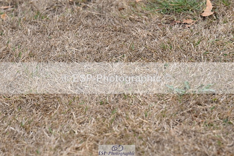 250820A-174154-12188 - Wednesday Presentations