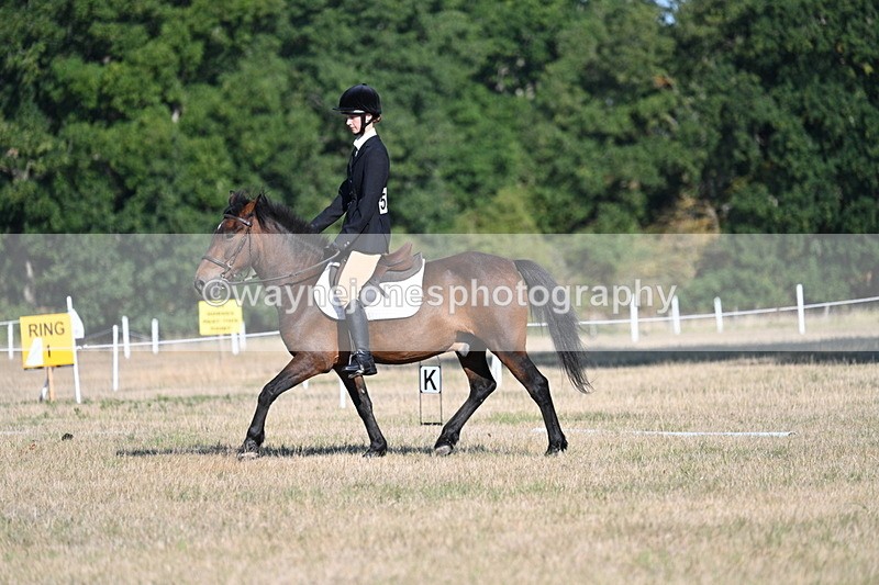 WJ7_8521 - Time 09:00 to 09:24