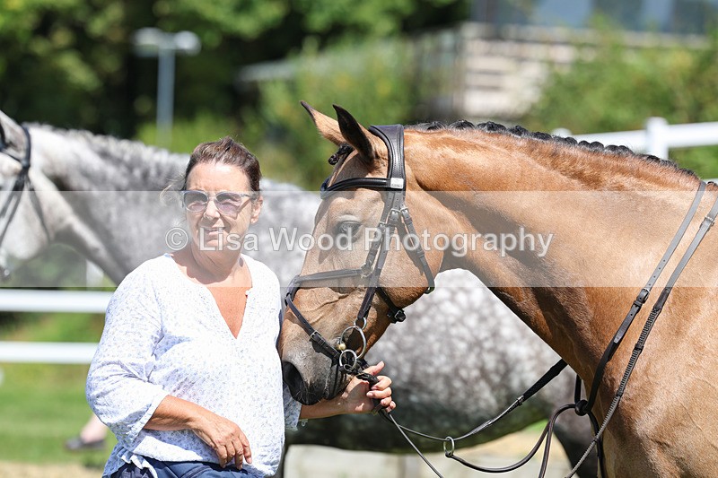 3E7A9045 - Class 6: Open Working Horse