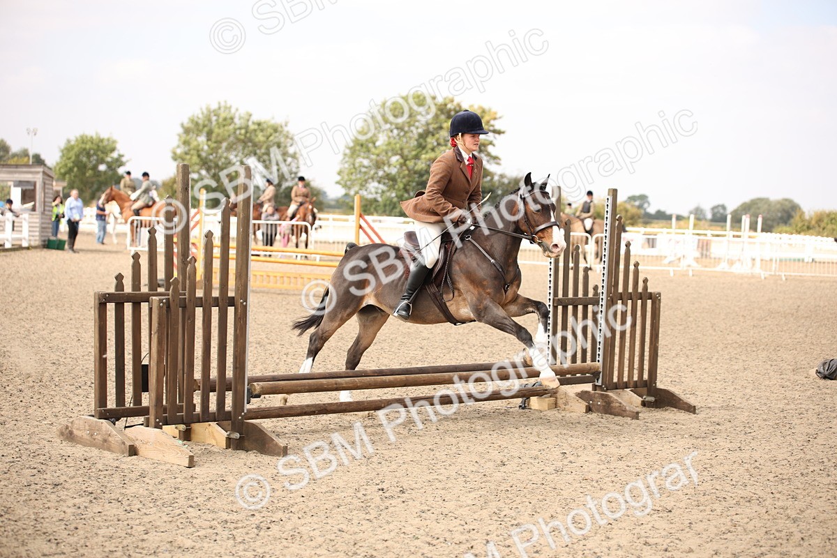 SBM_13570 - Class 406b - Working Veteran 50cm (20+)