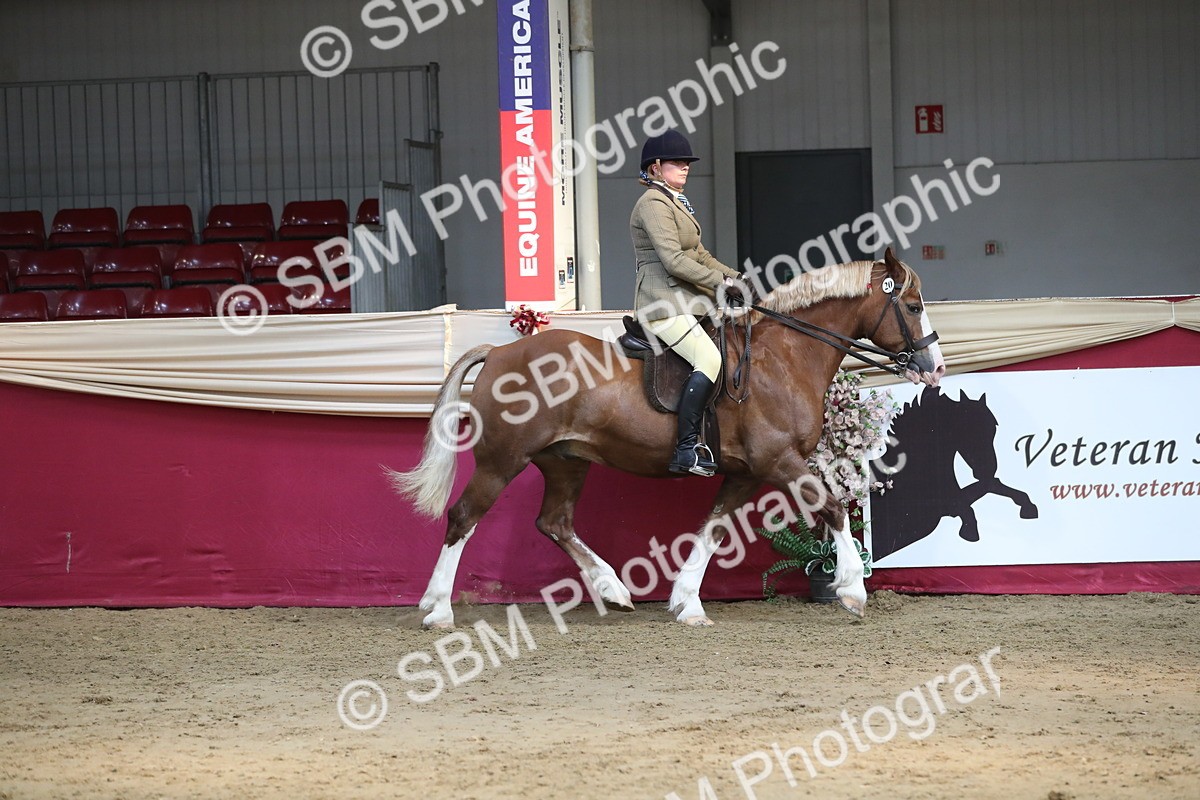 SBM_08324 - Class 11R Regional Ridden Veteran