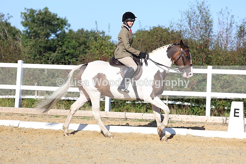 3E7A5287 - Class 8: Small Ridden Hunter