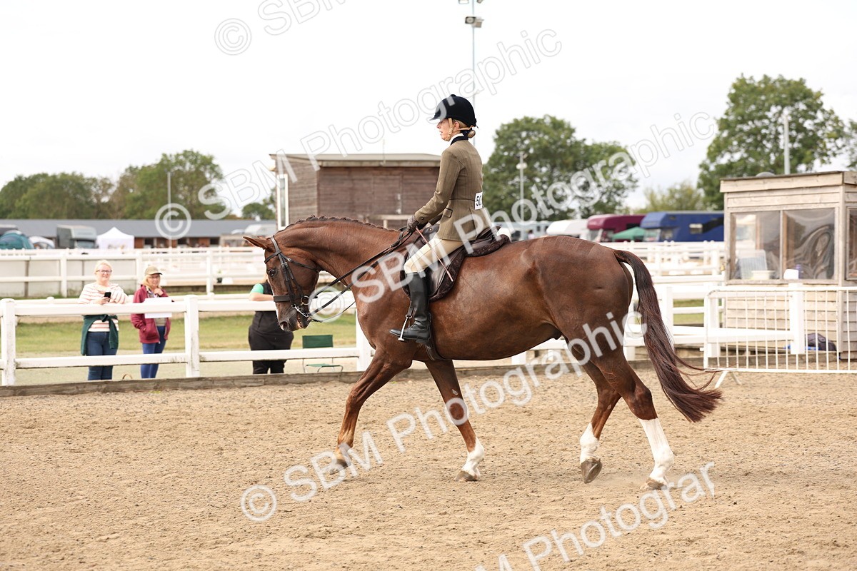 SBM_02844 - Class 53 - Ridden Competition Horse/Pony