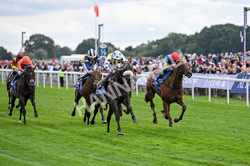 210826-Race 3-Arapaho Gold-5748 - Race 3 15.00pm Al Basti Equiworld Dubai Gimcrack Stakes