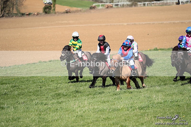 Shet 060426 270 - Shetland Pony Racing Paxford Races Easter Mon 06/04/26