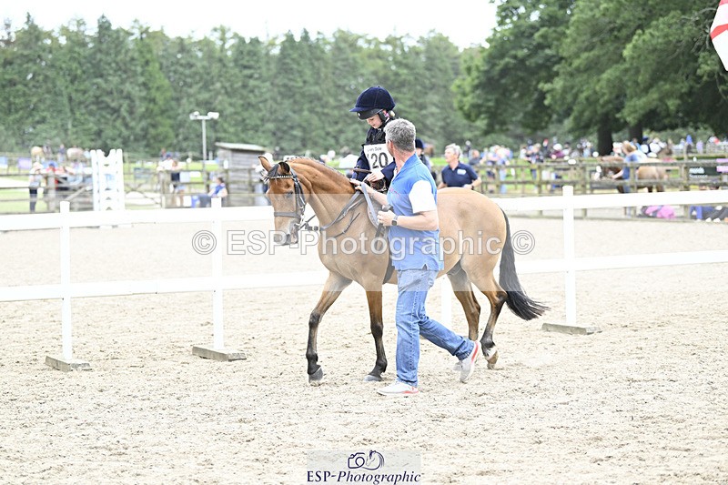 240822X-133439-08254 - 40cm LR R2 13.00 to 15.00