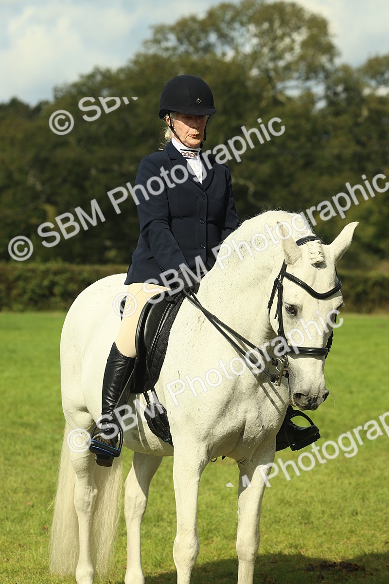 SBM_62510 - S62 - Foreign Breeds Ridden