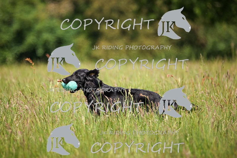 2R6A8661 - 37 Jane