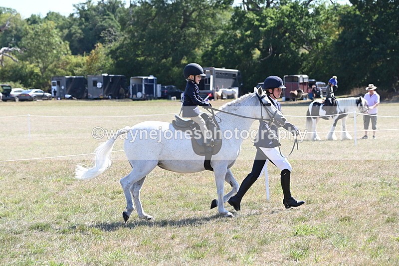 WJ6_7769 - Class 36 Lead Rein