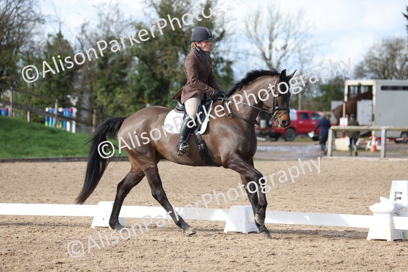 20260228-0660 - Class 5 - Novice 2