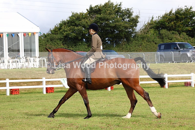 3E7A9491 - Class 4: Rising Star M/H Hunter