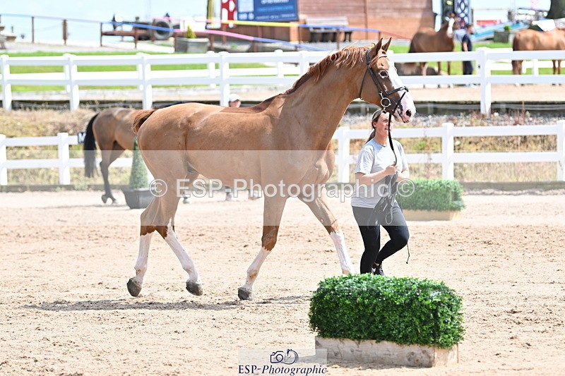 240717A-144745-02294 - Trot Up 2pm to 3pm - This folder is not in time order