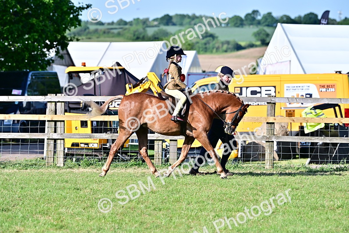 SBM_19913 - Class 103 - 105 - TSR Ridden Amateur of the Year Plaited Ponies