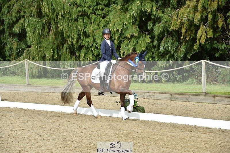 230812-160934-05444 - Novice Bronze Presentations