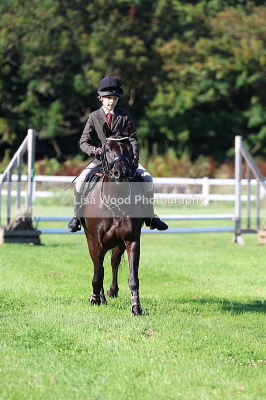 3E7A7492 - Class 1: Novice Working Hunter Pony