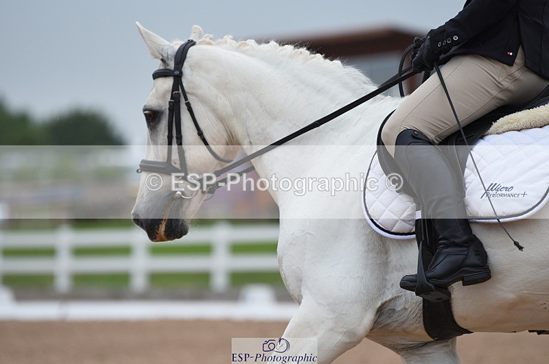 230708A-122350-01716 - Prelim 7