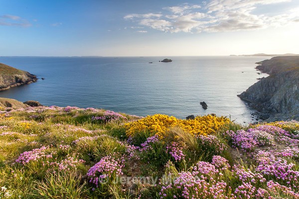 p152 - Pembrokeshire p/c catalogue