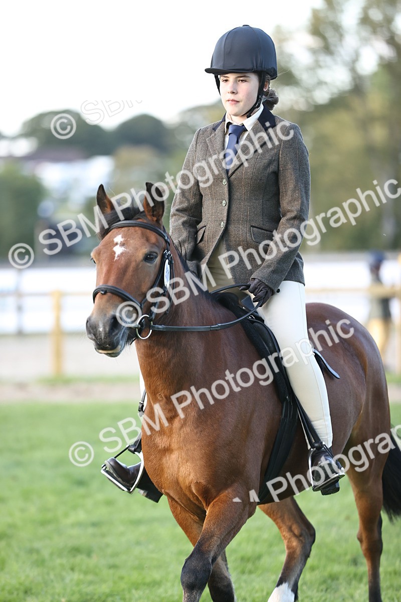 SBM_29561 - S7 - Novice & Newcomers Ridden Pony