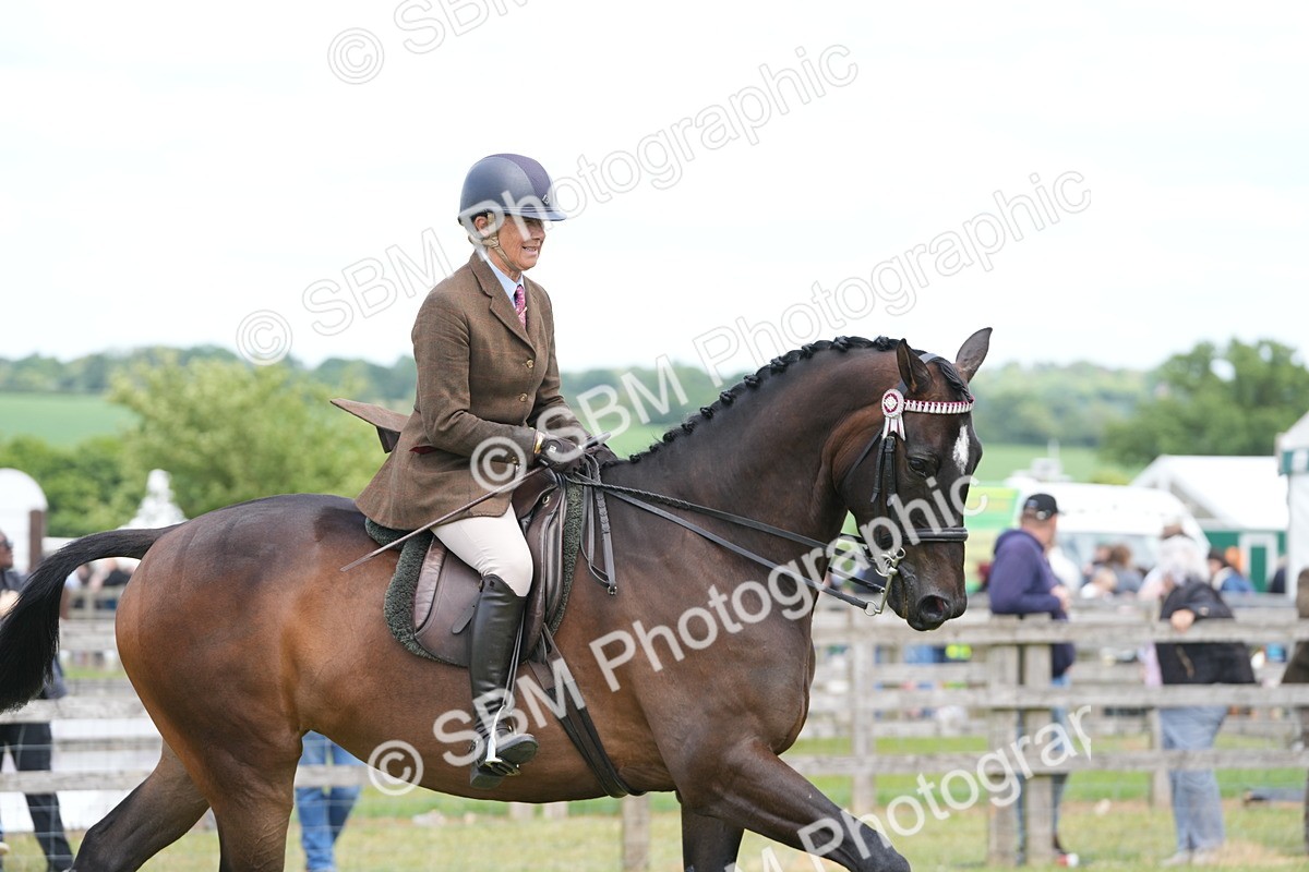 SBM_16247 - Class 105-106 - RIHS Riding Horses