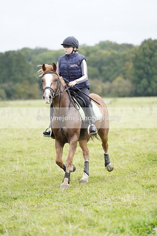 _DSC7654 - Time at Photographer 11:24 to 11:55