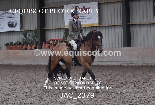 JAC_2379 - CLASS 3 Intermediate Working Hunter