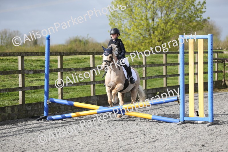 20260412-0096 - Show Jumping