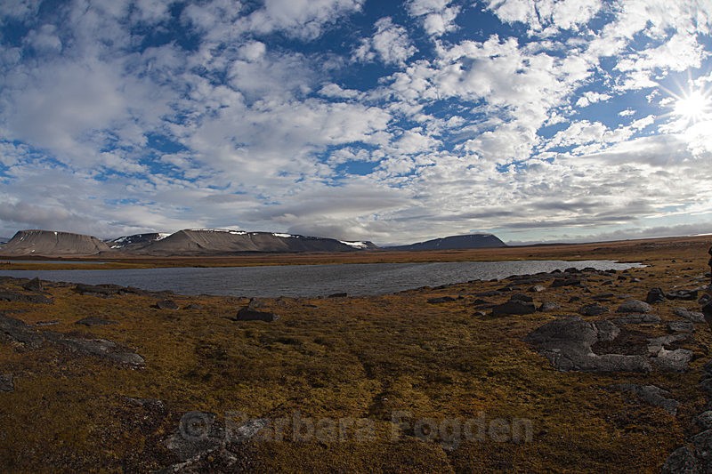 Russebukta Edgeøya  7650 - Trip with MS Expedition August 2016
