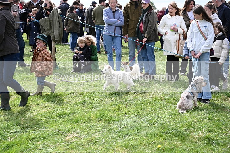 WJ6_8286 - Class 4 Prettiest Bitch