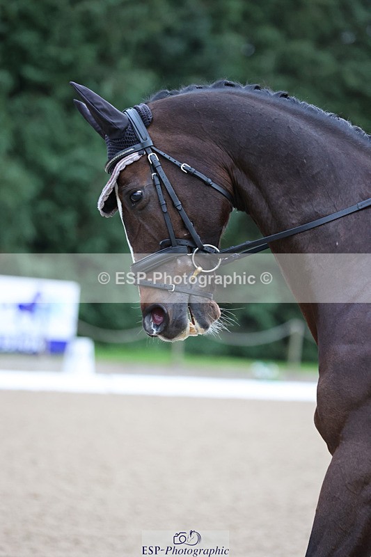 241024-090505-01210 - 202-Toots.Bartlett-C.WHY